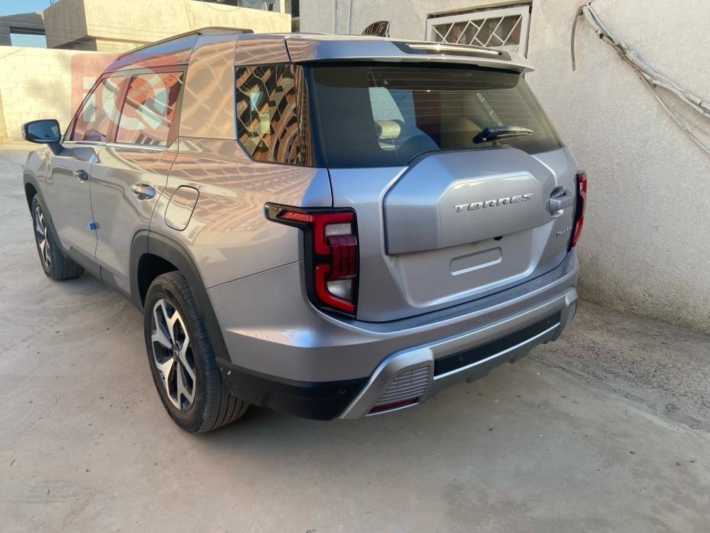سانغ يونغ توريس